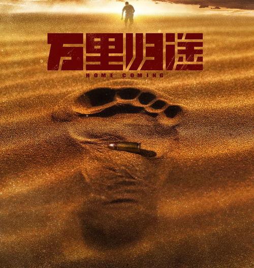 万里归途,跨越千山万水的家国情怀之旅